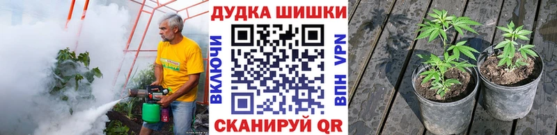 блэк спрут   Белая Холуница  Канабис SATIVA & INDICA 